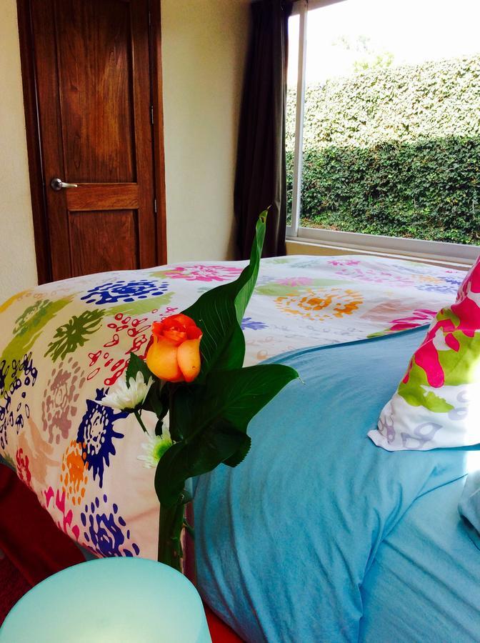 Homestay Casa Roa (adults Only) *